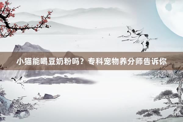 小猫能喝豆奶粉吗？专科宠物养分师告诉你